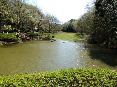 茅ヶ崎公園
