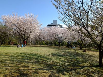 都筑中央公園
