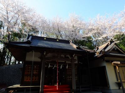 杉山神社
