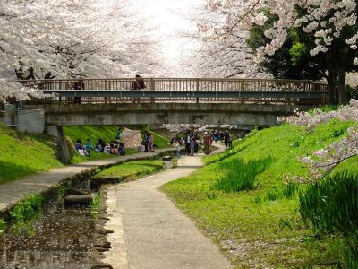 江川せせらぎ緑道
