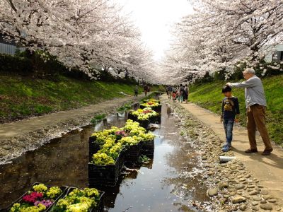 江川せせらぎ緑道
