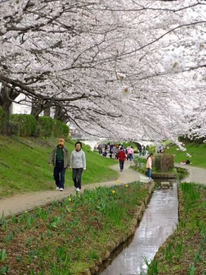 江川せせらぎ緑道

