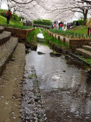 江川せせらぎ緑道
