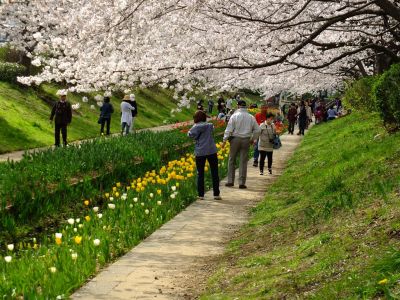 江川せせらぎ緑道

