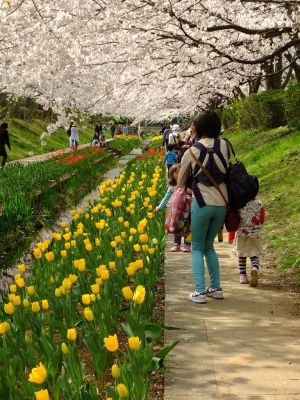 江川せせらぎ緑道
