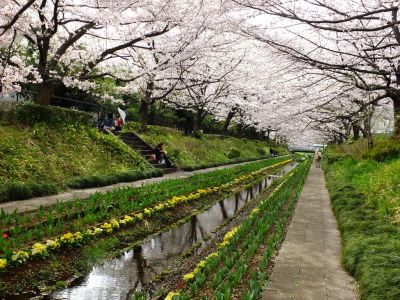 江川せせらぎ緑道
