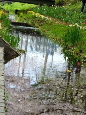 江川せせらぎ緑道
