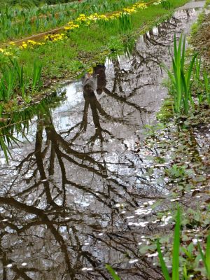 江川せせらぎ緑道
