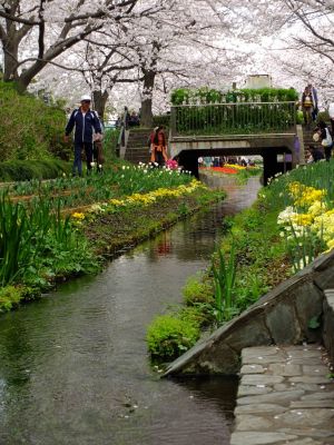 江川せせらぎ緑道
