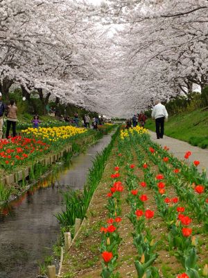 江川せせらぎ緑道
