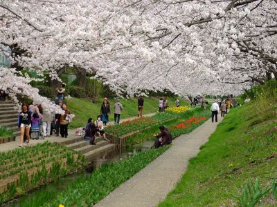 江川せせらぎ緑道
