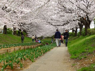江川せせらぎ緑道
