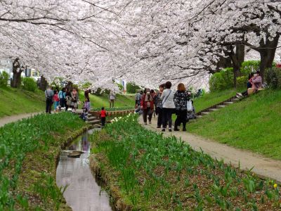 江川せせらぎ緑道
