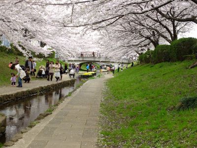 江川せせらぎ緑道

