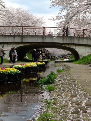 江川せせらぎ緑道
