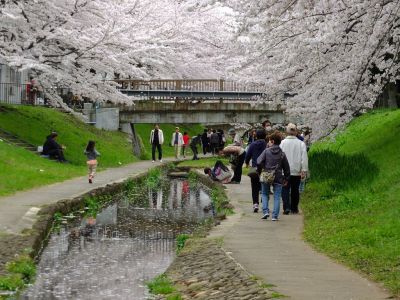 江川せせらぎ緑道
