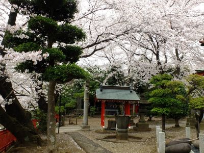 淡島神社

