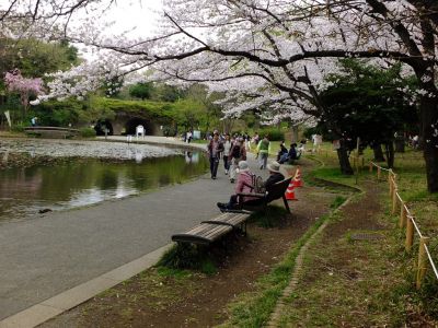 せせらぎ公園
