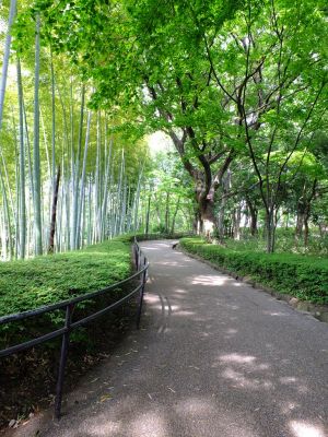 大塚・歳勝土遺跡公園
