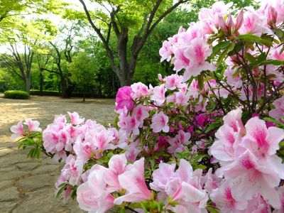大塚・歳勝土遺跡公園
