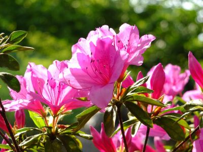 大塚・歳勝土遺跡公園
