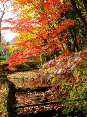 杉山神社（茅ヶ崎）
