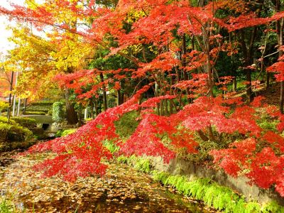 杉山神社（茅ヶ崎）
