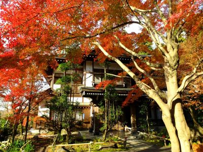 浄土宗　渋沢山心行寺
