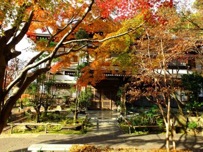 浄土宗　渋沢山心行寺
