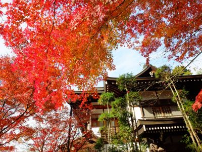 浄土宗　渋沢山心行寺　
