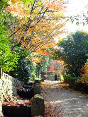 ささぶねの道（つづきの丘小学校裏）
