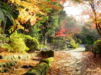ささぶねの道（つづきの丘小学校裏）

