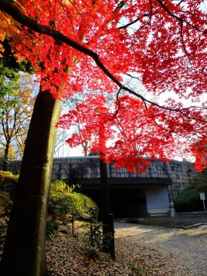 ささぶねの道（御影橋付近）
