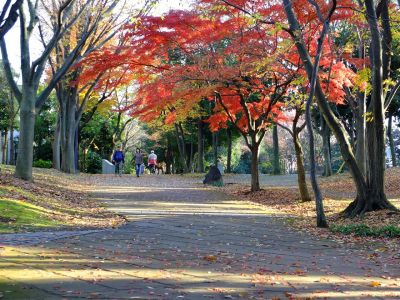 ささぶねの道（御影橋付近）
