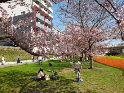 早渕川親水広場（神代曙）
