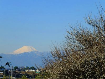 東方町（ひがしがた）
