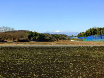 東方町（ひがしがた）
