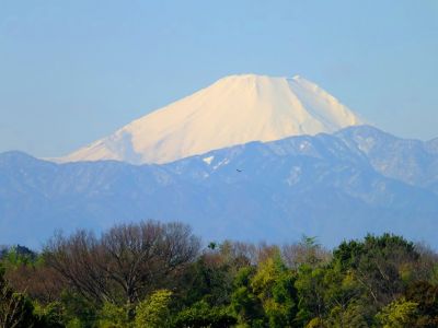 東方町（ひがしがた）
