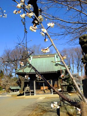 東方天満宮（ひがしがた）
