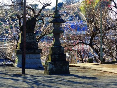 東方天満宮（ひがしがた）

