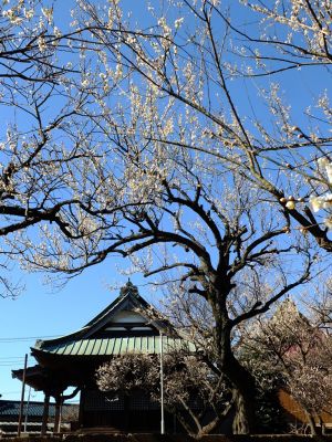 東方天満宮（ひがしがた）
