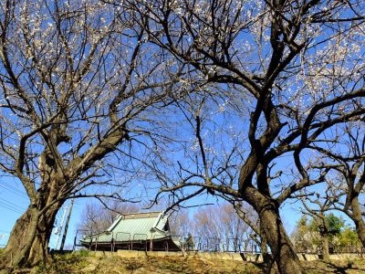東方天満宮（ひがしがた）

