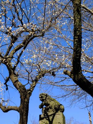 東方天満宮（ひがしがた）
