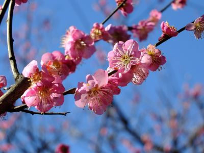 東方天満宮（ひがしがた）
