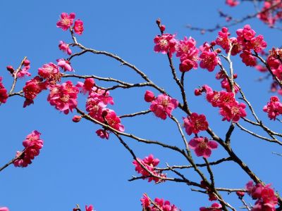 東方天満宮（ひがしがた）
