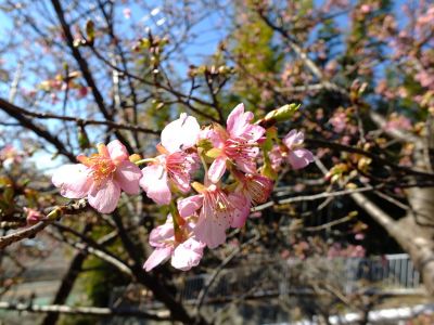 東方天満宮（ひがしがた）

