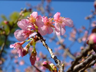 東方天満宮（ひがしがた）
