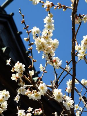 東方天満宮（ひがしがた）
