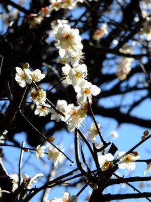 東方天満宮（ひがしがた）
