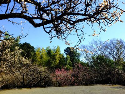 東方天満宮（ひがしがた）
